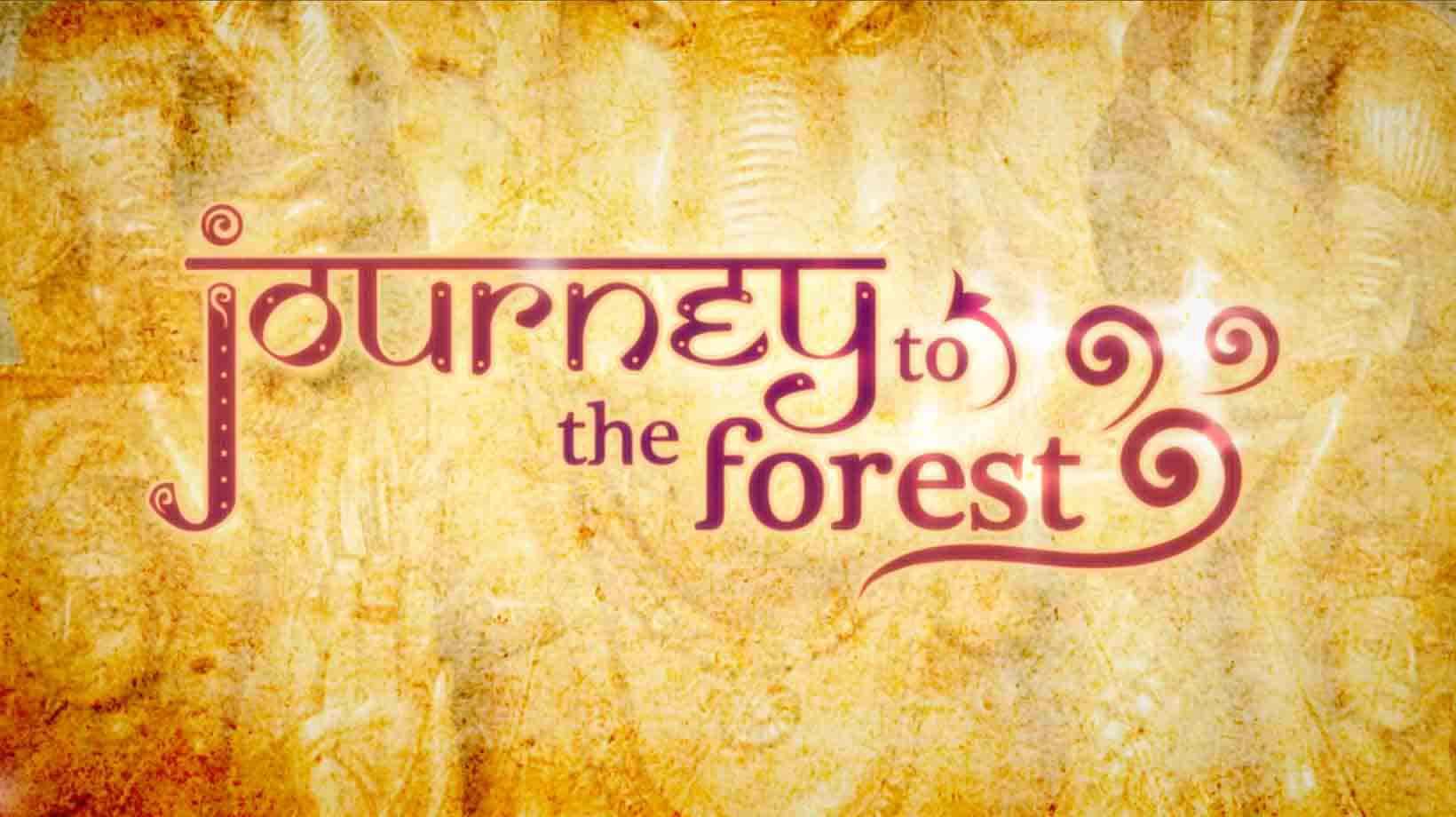 journey-to-the-forest