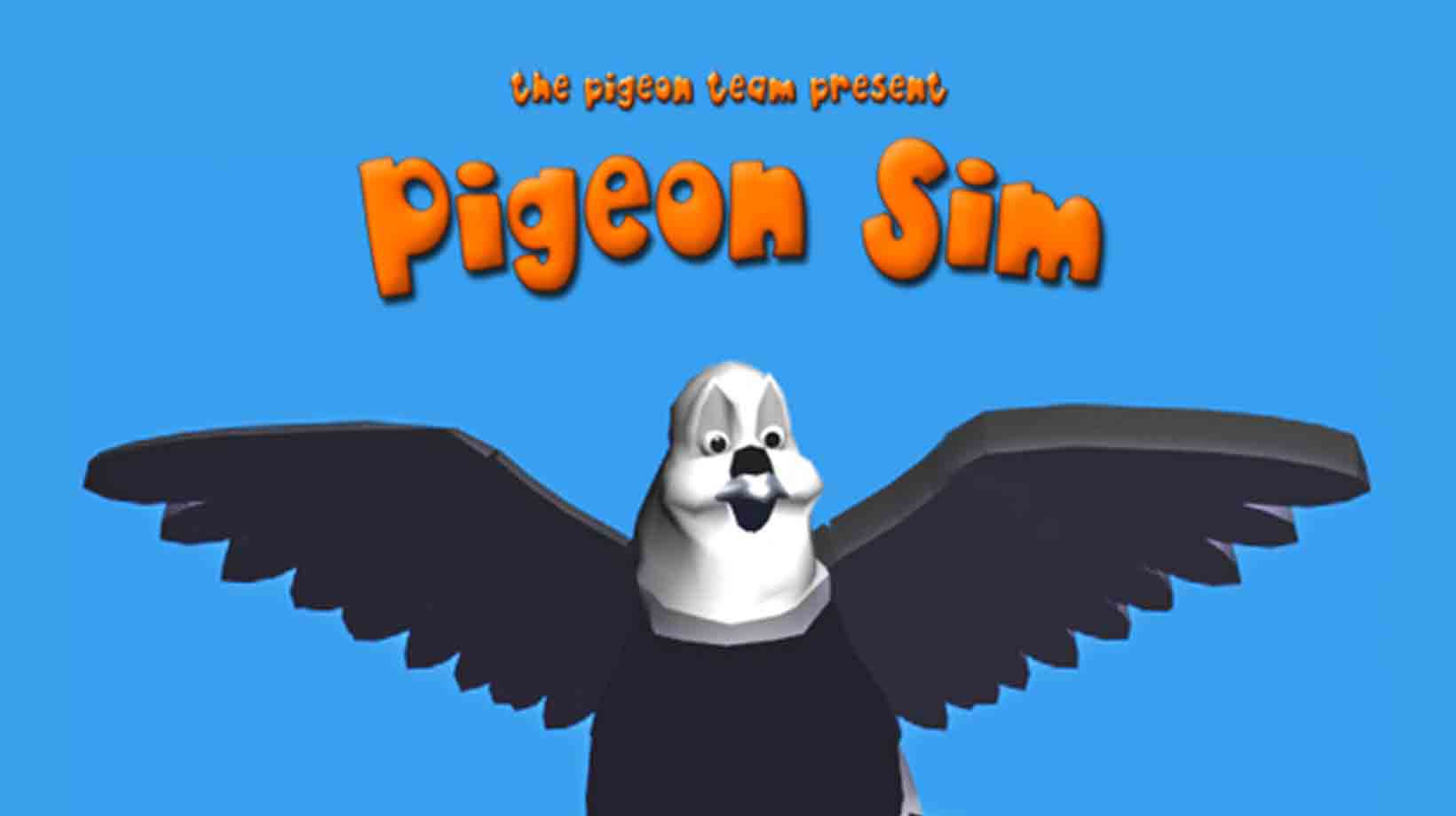 Pigeon sim