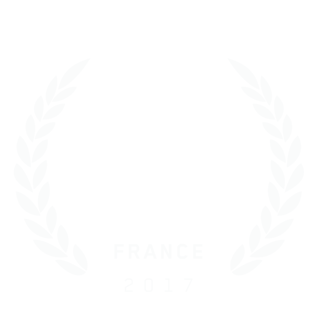 Pastille-Festival du film d'animation de Tournus_france-2017-Winner