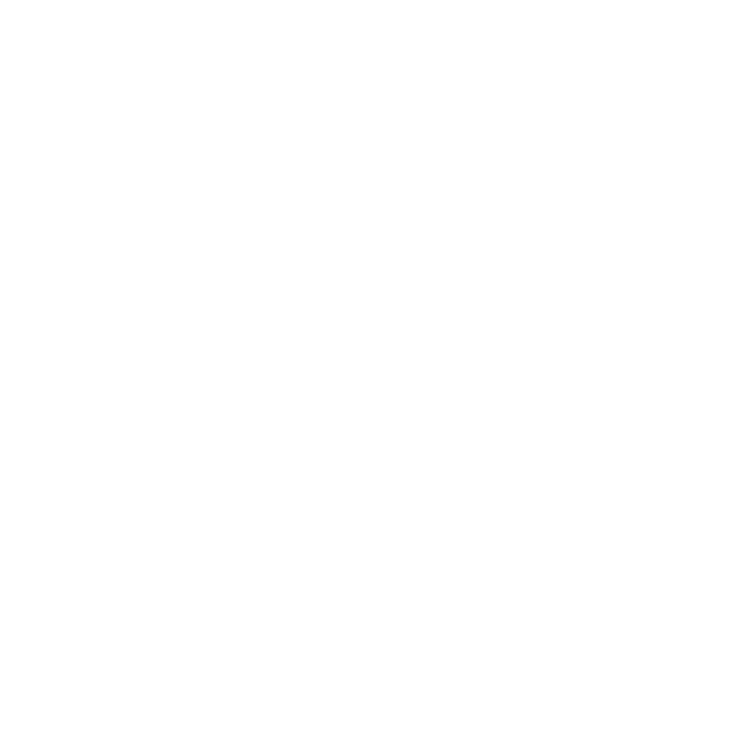 logo_loisirs numérique_white